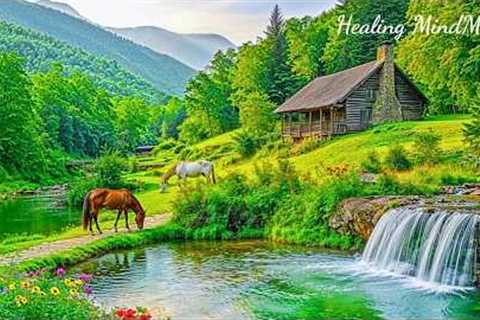 Soothing Piano Music 🌿 Beautiful Relaxing Music to Reduce Stress, Stop Overthinking, Deep Sleep
