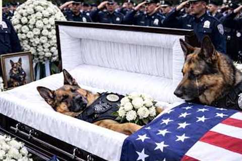 K 9 Funeral in Troy, Illinois | top best dog training techniques !