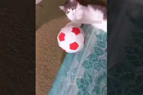 FOOTBALL FUNNY MOMENTS, SKILLS, GOALS & FAILS  #football #funny #soccer #skills #shorts