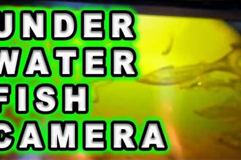 Cheap Amazon Underwater Camera Put to the Ultimate Fish Test
