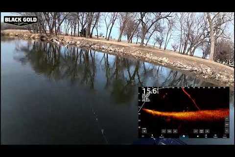 Fishing Swimbaits For Big Bass (Zaldaingerous Live)