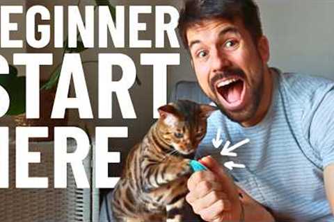 How to Train a Cat | EASY BEGINNER CAT TRAINING TUTORIAL | my secret
