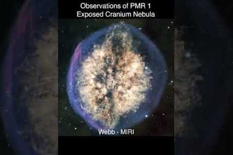 Exposed Cranium Nebula — James Webb Space Telescope #shorts