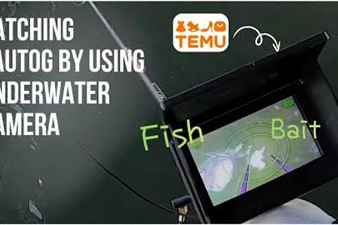 Temu Underwater Camera vs Real Fish! Success or Fail? 🤔