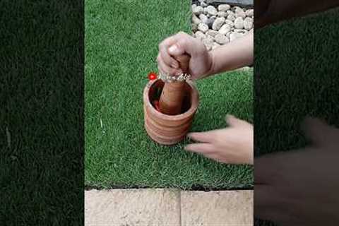 My Secret Garden Weapon: DIY Natural Spray‼️