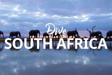 Scuba Diving in South Africa