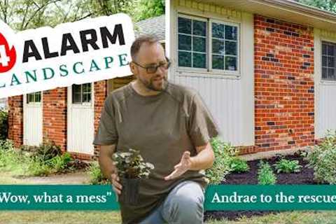 Spring Hill’s 4-Alarm Landscape Episode 1: Easy Shade Garden Design