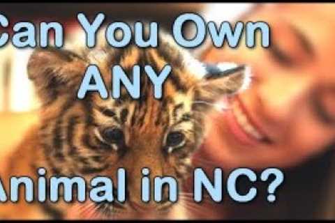 What Exotic Pets are Legal (and Illegal) in North Carolina?