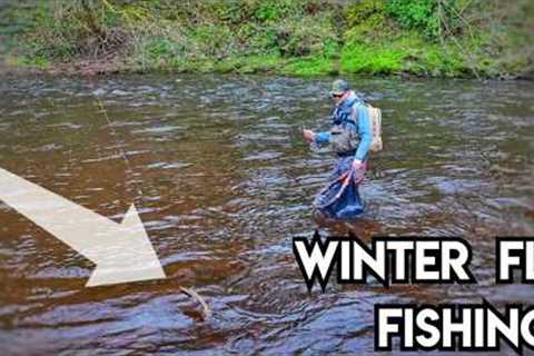 Can I BEAT The Weather?