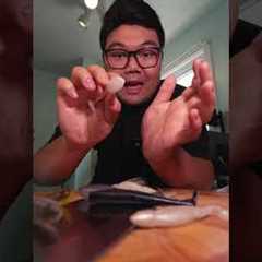 Paddle tail One Trick part 1