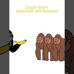 Monkey explains Rug Pull #cryptoeducation