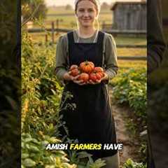 The Amish Garden Secret To Prevent Pests 🧑‍🌾 #gardening