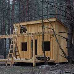 Built a cabin in a year without any skills, off grid house Start to Finish no talking asmr