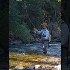 The One Fly That Works ALL YEAR — Fly Fishing Flies 101