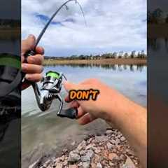 The Perfect Fishing Starter Kit🎣