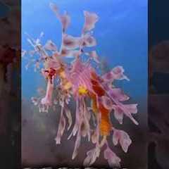 If you could have ANY exotic animal as a pet… what are you choosing? #pets #exotic #animals