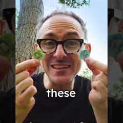 Smallest Bills in The World | Only Place With Plastic Coins | pridniestrovie Transnistria