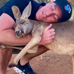 When Animals Love You by Cute Way No One Does It 😍