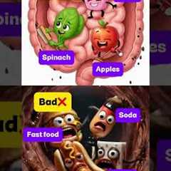 GUT HEALTH: GOOD vs BAD FOODS 🥬🍔