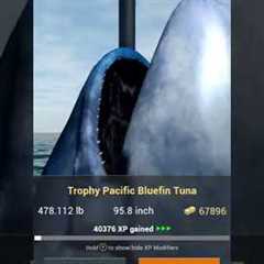 Big fish in the ocean dlc in fishing planet #fishing