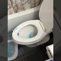 Kitty Potty Training Fail!