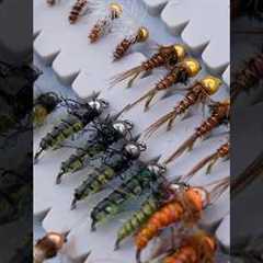 Top Flies for Fly Fishing & the Insects Behind Them