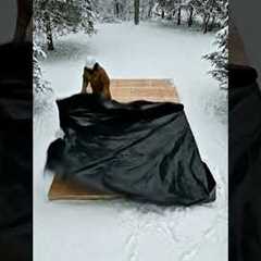 I Built a SECRET Luxury Ice Palace Underground!