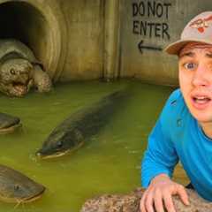 I Found Monster Fish in a Hidden Tunnel!