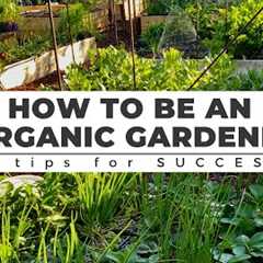 How to be an ORGANIC GARDENER: 7 Tips for Success