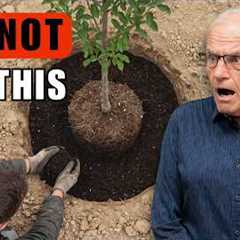 10 Landscaping Myths You Still Believe (Stop Doing These!)