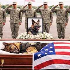 Memorial service held Wednesday for K9 Rico | top best dog training techniques
