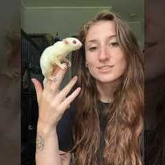 Unpack 13 EXOTIC ANIMALS with me!