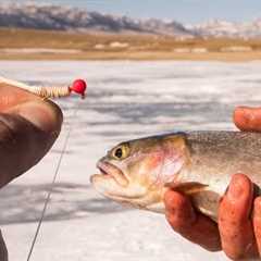 Ice Fishing Basics for Beginners