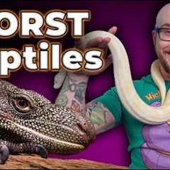 The 5 WORST Beginner Reptiles and 5 BETTER Options You've Never Heard Of!