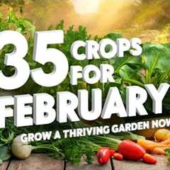 35 Crops to Plant in February for a Thriving Garden | Gardening Tips & Time-Lapse Guide