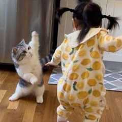 The Most dramatic cats moments ever! 😂🤣 Funny Cat Videos 2025