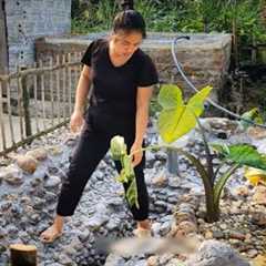 Simple Village Garden Design | Creating a Beautiful Backyard with Natural Stones || Ly tieu Ly 