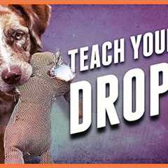 Teach a Dog to Drop It - Get polite mouth control with Tug