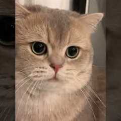 The non-stop moewing machine