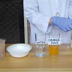 Digestive System Demo- Do it at Home Experiment