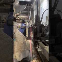 Working hard to get married--Sawing timber