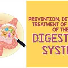 Prevention, Detection, and Treatment of Diseases of the Digestive System | Biology Animation