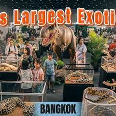 The Largest Exotic Pet Event in Asia – Bangkok, Thailand 2025