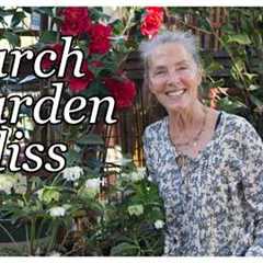 What's New This Week at Cottage Gardens? Marching Forth into Garden Bliss! 🌺 #gardening #gardentips