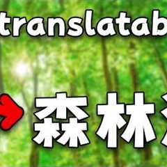 Are There Any Untranslatable Japanese Words?