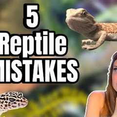 New Reptile Owner? Avoid These 5 Huge Mistakes!! 