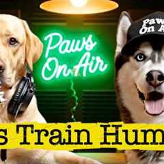 Dogs Reveal How They Secretly Train Humans | Funny Dog Podcast | Paws On Air