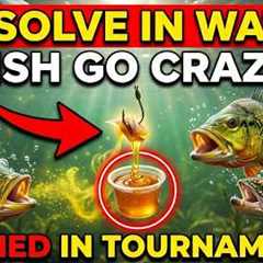 Dissolve This in the Water and the Fish Go Crazy. Tournament Judges Have Already BANNED This Method!