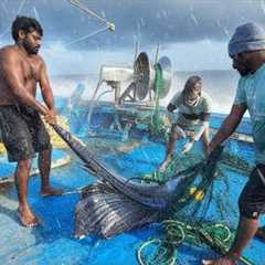 Day-03 | Third Day in the Middle of the Ocean | Tuna Fishing & Boat Cooking | S-01