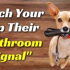 🐾How To Teach Your Puppy To Tell You They Need To Go Outside To Potty Housetraining Tip🐾